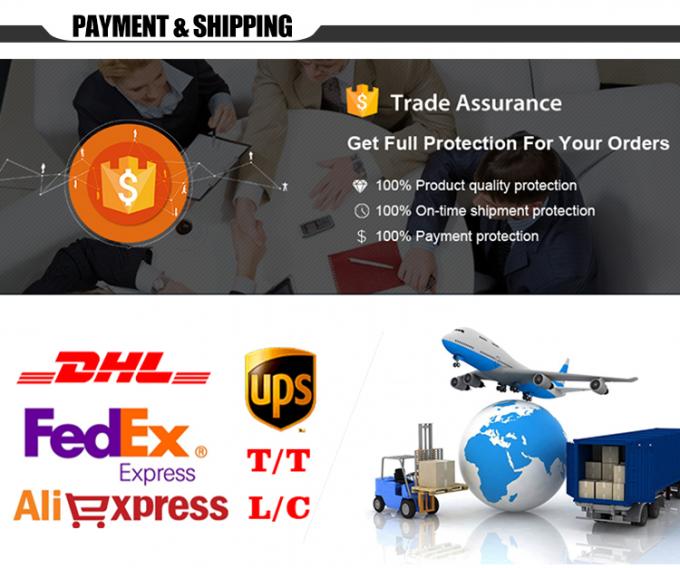 Norton Security Deluxe Online Download 1 PC la livraison prête d'email de logiciel d'antivirus de 1 an 4